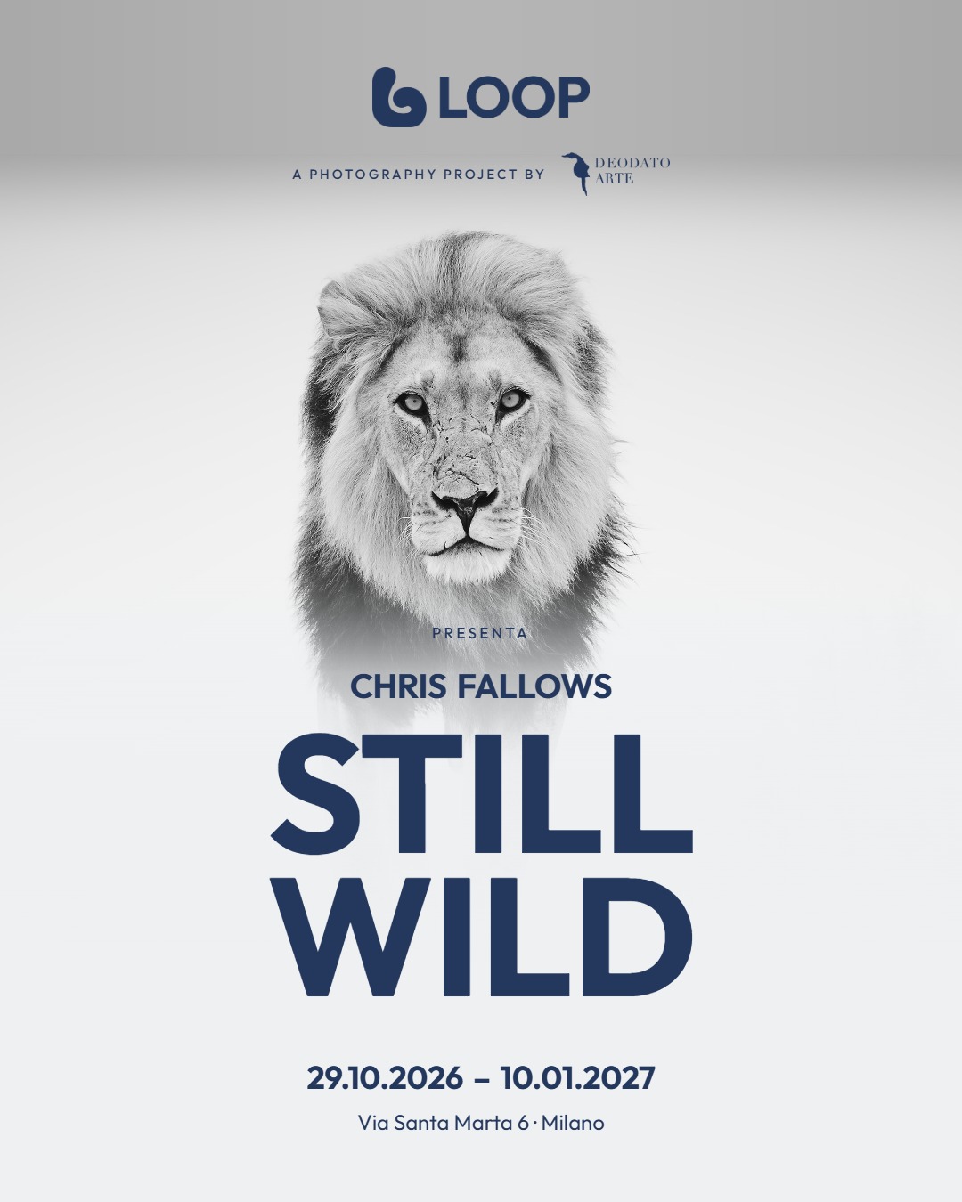 Still Wild
