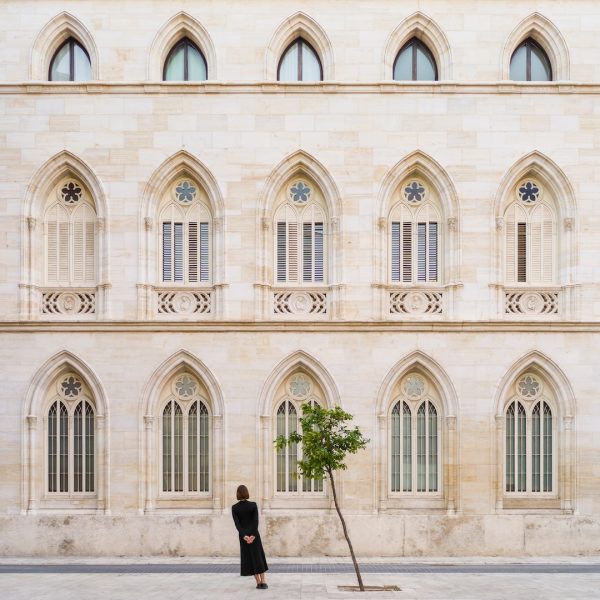 CC—9 - Similaritree - (Curiocities)