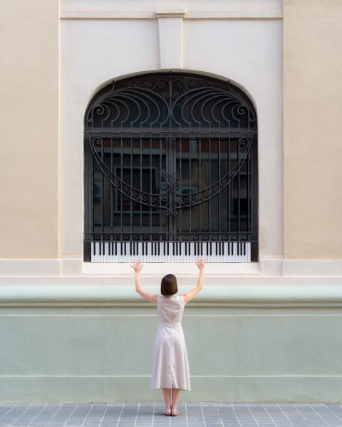 Window Sonata